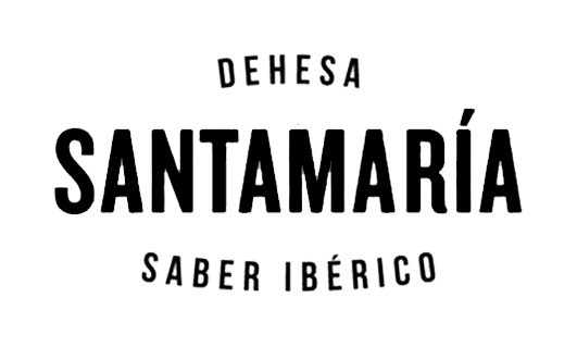 logo SANTAMARIA